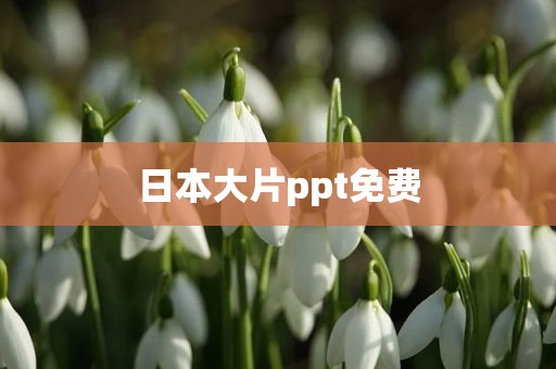 日本大片ppt免费