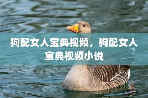 狗配女人宝典视频，狗配女人宝典视频小说