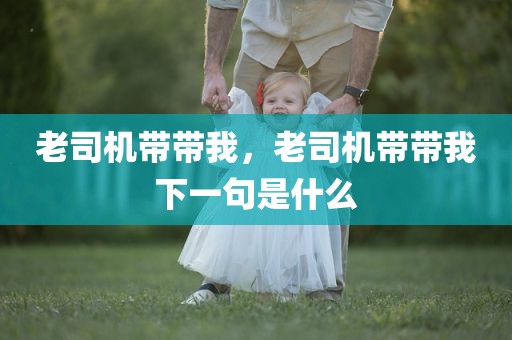 老司机带带我，老司机带带我下一句是什么