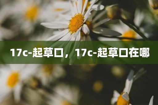 17c-起草口，17c-起草口在哪