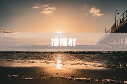 撸撸射