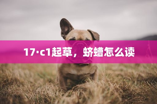 17·c1起草，蛴螬怎么读