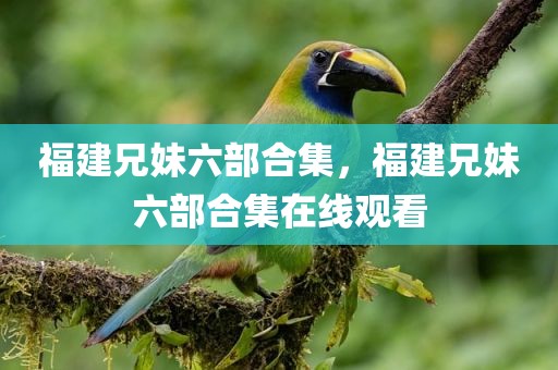 福建兄妹六部合集，福建兄妹六部合集在线观看