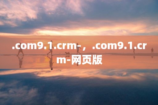 .com9.1.crm-，.com9.1.crm-网页版