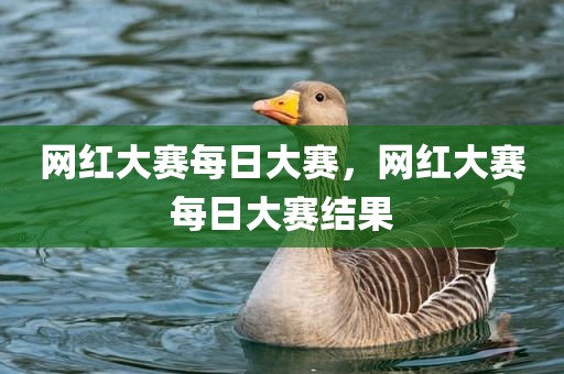 网红大赛每日大赛，网红大赛每日大赛结果