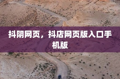 抖阴网页，抖店网页版入口手机版