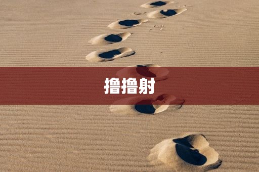 撸撸射