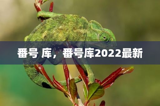 番号 库，番号库2022最新