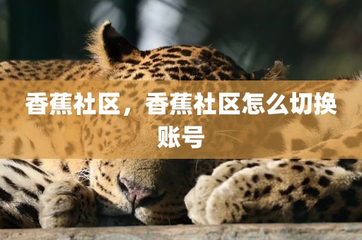 香蕉社区，香蕉社区怎么切换账号