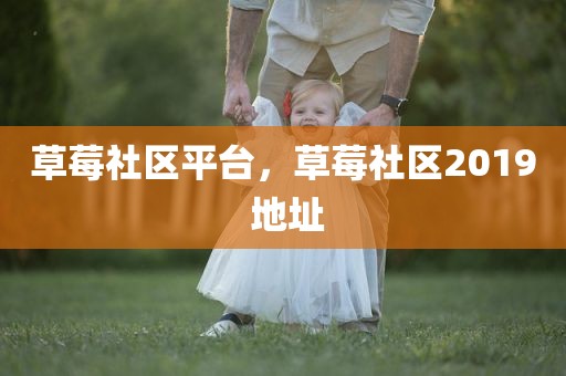 草莓社区平台，草莓社区2019 地址