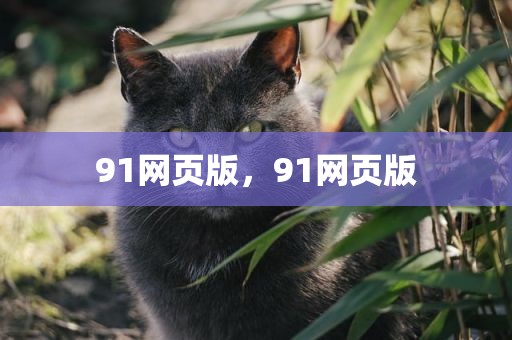 91网页版，91网页版