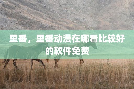 里番，里番动漫在哪看比较好的软件免费