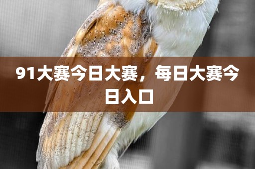 91大赛今日大赛，每日大赛今日入口