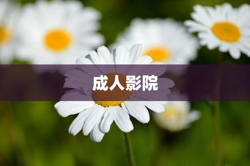 成人影院