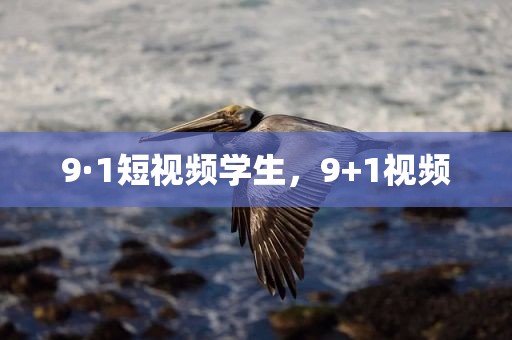 9·1短视频学生，9+1视频
