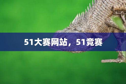 51大赛网站，51竞赛