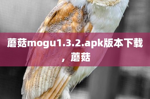 蘑菇mogu1.3.2.apk版本下载，蘑菇