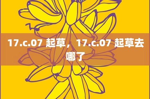 17.c.07 起草，17.c.07 起草去哪了