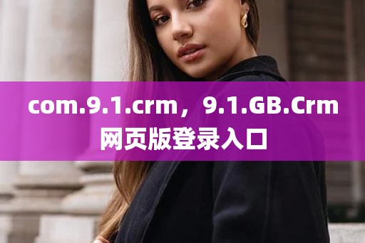 com.9.1.crm，9.1.GB.Crm网页版登录入口