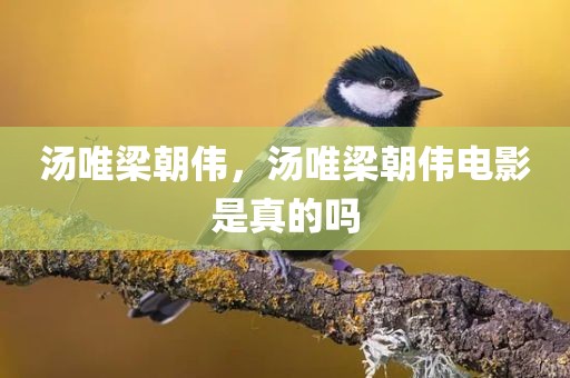 汤唯梁朝伟，汤唯梁朝伟电影是真的吗