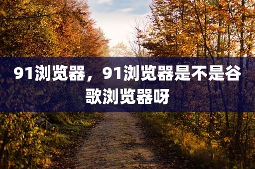 91浏览器，91浏览器是不是谷歌浏览器呀