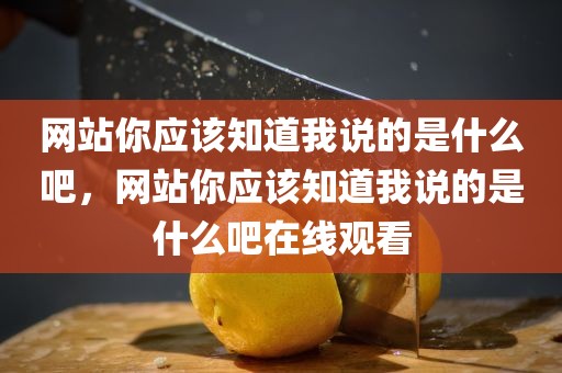 网站你应该知道我说的是什么吧，网站你应该知道我说的是什么吧在线观看
