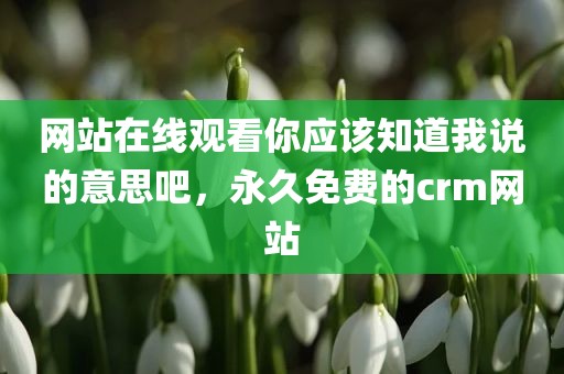 网站在线观看你应该知道我说的意思吧，永久免费的crm网站
