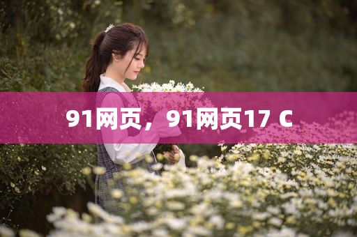 91网页，91网页17 C