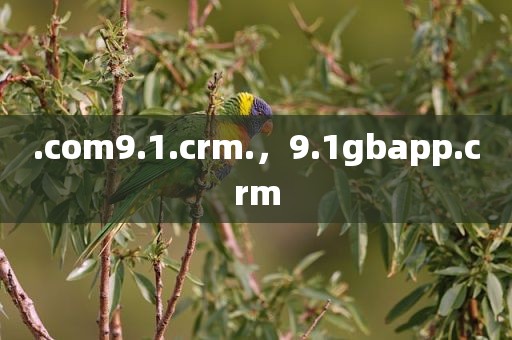 .com9.1.crm.，9.1gbapp.crm