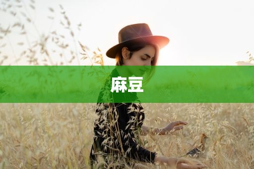 麻豆