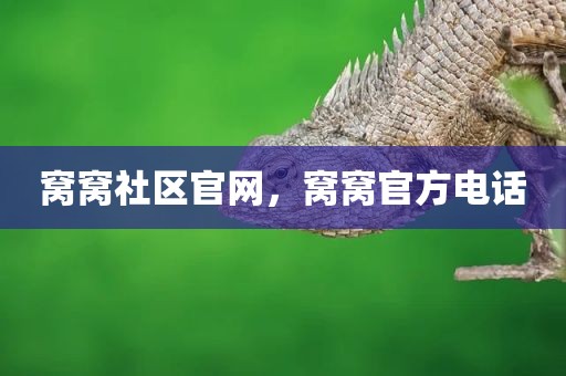 窝窝社区官网，窝窝官方电话