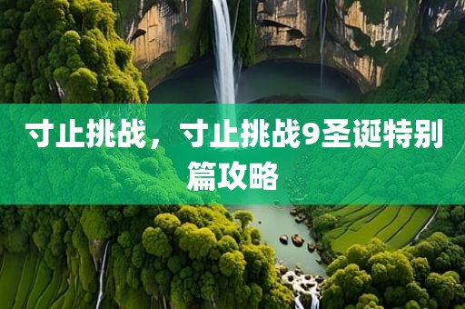 寸止挑战，寸止挑战9圣诞特别篇攻略