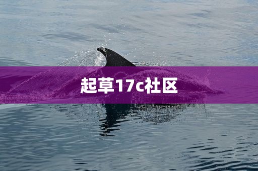起草17c社区