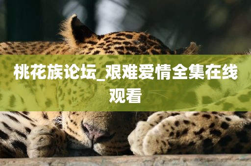桃花族论坛_艰难爱情全集在线观看