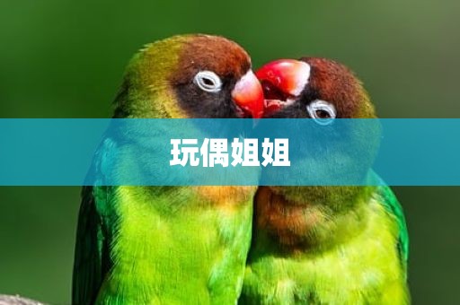 玩偶姐姐