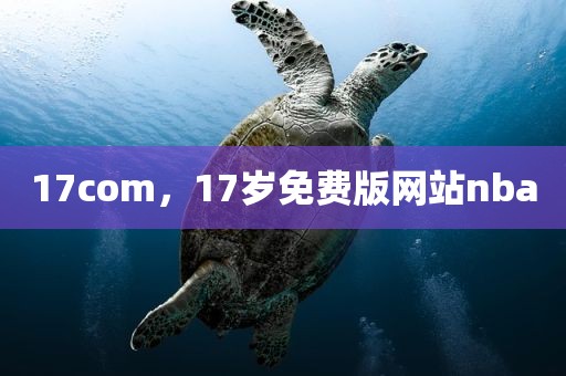 17com，17岁免费版网站nba