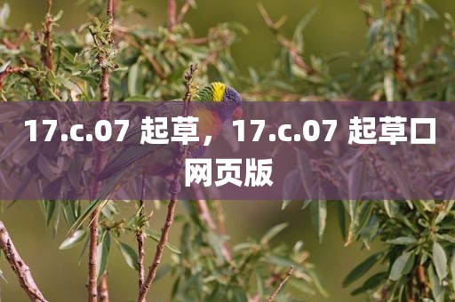 17.c.07 起草，17.c.07 起草口网页版