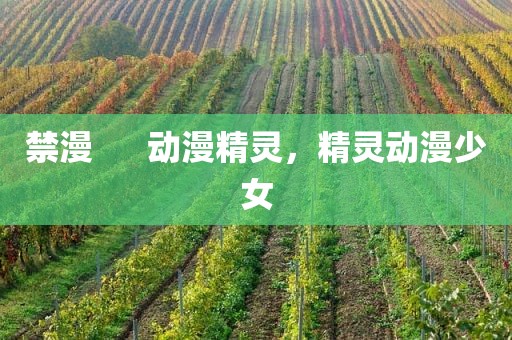 禁漫      动漫精灵，精灵动漫少女