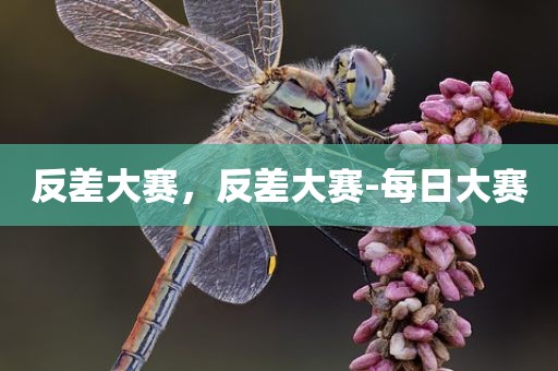 反差大赛，反差大赛-每日大赛