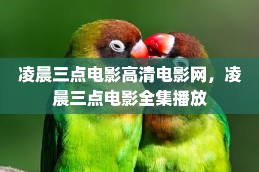 凌晨三点电影高清电影网，凌晨三点电影全集播放