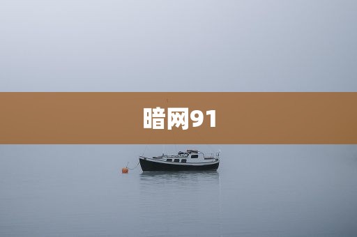 暗网91