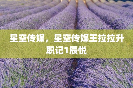 星空传媒，星空传媒王拉拉升职记1辰悦