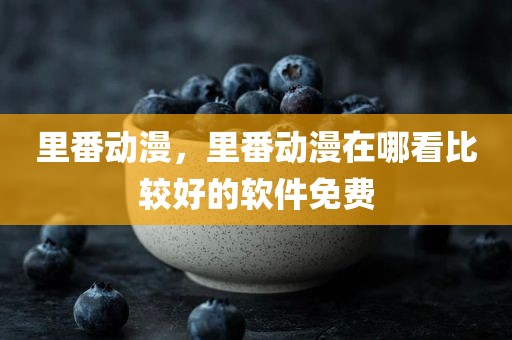 里番动漫，里番动漫在哪看比较好的软件免费