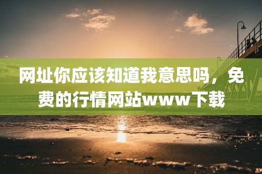 网址你应该知道我意思吗，免费的行情网站www下载