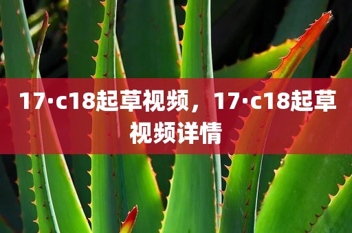 17·c18起草视频，17·c18起草视频详情