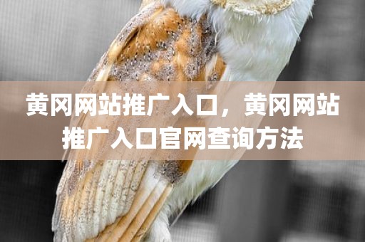 黄冈网站推广入口，黄冈网站推广入口官网查询方法