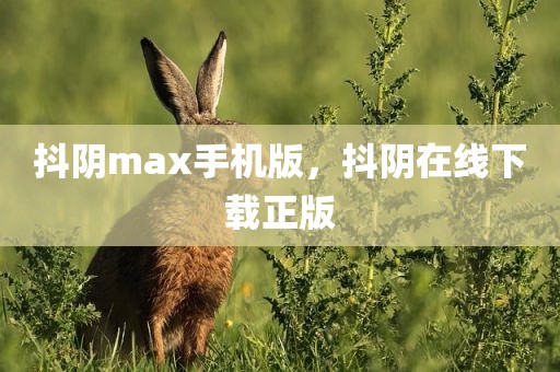 抖阴max手机版，抖阴在线下载正版