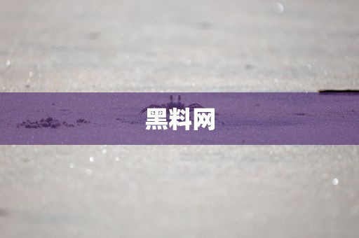 黑料网