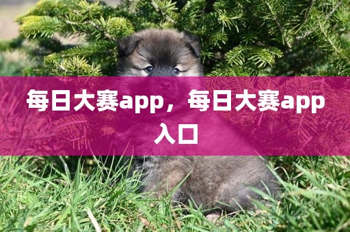 每日大赛app，每日大赛app入口