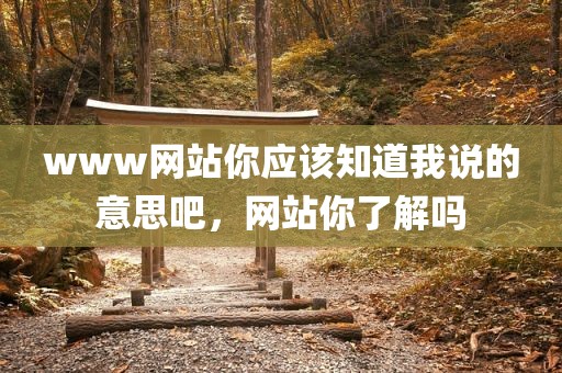 www网站你应该知道我说的意思吧，网站你了解吗